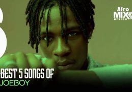 Best Songs of Joe Boy (Afro Mix)