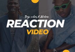 Zlatan & Seyi Vibez - Let There Be Light | Reaction Video