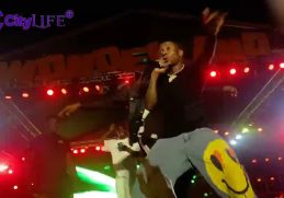 Moment Small Doctor Hugged A Fan While Performing At Seyi Vibez Billion Dollar Baby Concert