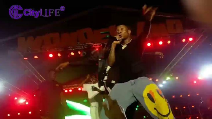 Moment Small Doctor Hugged A Fan While Performing At Seyi Vibez Billion Dollar Baby Concert