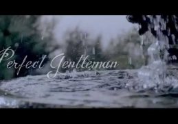 SEAN TIZZLE - PERFECT GENTLEMAN (OFFICIAL VIDEO)