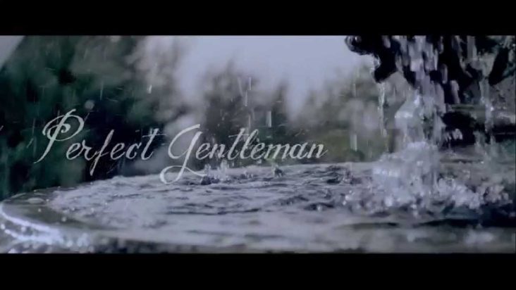 SEAN TIZZLE - PERFECT GENTLEMAN (OFFICIAL VIDEO)