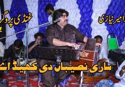 Sari Naseeban Diyan Khel | Ameer Niazi | Latest Song 2022 | The BEST Studio Sawans | 03002870974