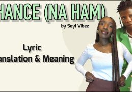 Seyi Vibez - Chance (Na Ham) (Afrobeats Translation: Lyrics and Meaning)