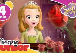 Sofia the First | Mr P | Disney Junior UK