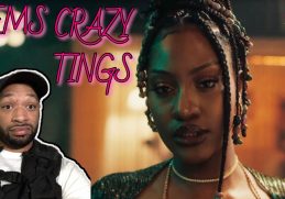 Tems - Crazy Tings (Official Video) REACTION BY NJCHEESE ❤🎤❤