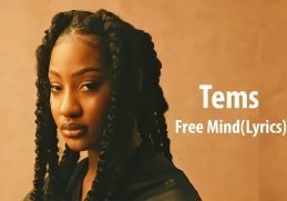 Tems - Free Mind(Lyrics Video)