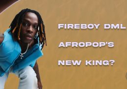 Why Fireboy's “Playboy” is Changing Nigerian Pop Music | The.WavNG