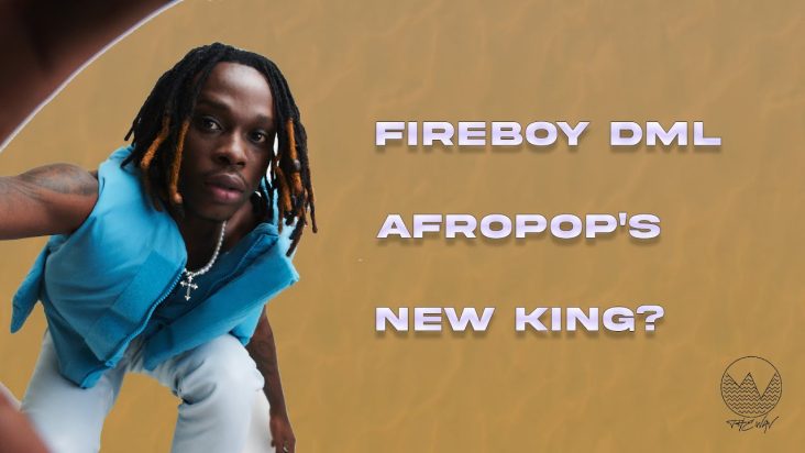 Why Fireboy's “Playboy” is Changing Nigerian Pop Music | The.WavNG