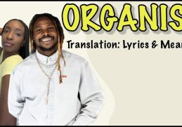 Asake - Organise (Afrobeats Translation: Lyrics and Meaning)