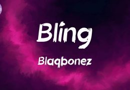 Bling (Lyrics) - Blaqbonez