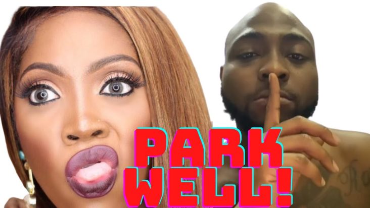 DAVIDO and TIWA SAVAGE Go Crazy On New Song "Park Well": What To Expect? | CELIA Album Secrets