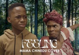 IAMDIKEH - LADIPOE & BUJU - FEELING (MAMA CHINEDU PARODY COVER)