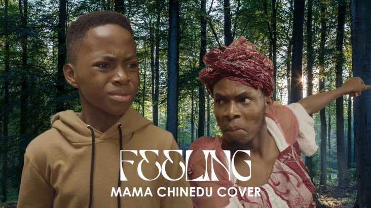 IAMDIKEH - LADIPOE & BUJU - FEELING (MAMA CHINEDU PARODY COVER)