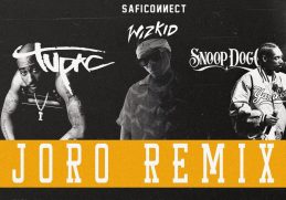 Joro Remix - WizKid x Snoop Dogg x 2Pac [by SAFICOИИECT]