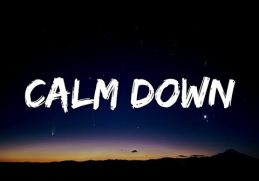 Selena Gomez - Calm Down (Lyrics) ft. Rema "another banger baby calm down"