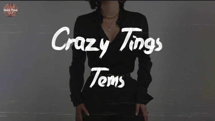 Tems - Crazy Tings (Lyric Video)