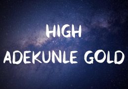 Adekunle Gold - High  🍇 (Lyrics)