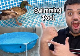 Duck Ka Swimming Pool Aa Gaya 😍 | Duck Ka Kya Naam Rakha Hai ? 🤣