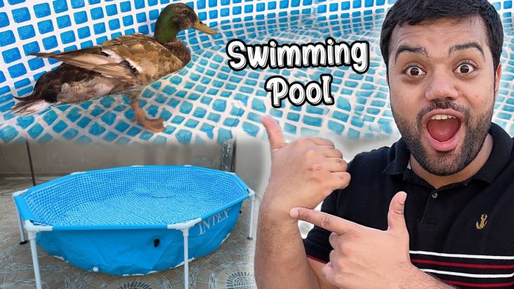 Duck Ka Swimming Pool Aa Gaya 😍 | Duck Ka Kya Naam Rakha Hai ? 🤣