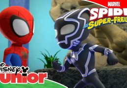 Eine Lektion in Geduld GANZE FOLGE 2 | Marvels Spidey und seine Super-Freunde