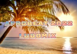 Mix Afrobeat 2022 / The Best Afrobeat #tiktok