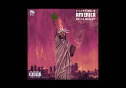 Naira Marley - First Time In America [ slowed ]