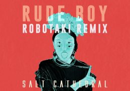 Salt Cathedral - Rude Boy (Robotaki Remix) [Ultra Music]