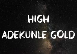 Adekunle Gold - High  🌩️ (Lyrics)