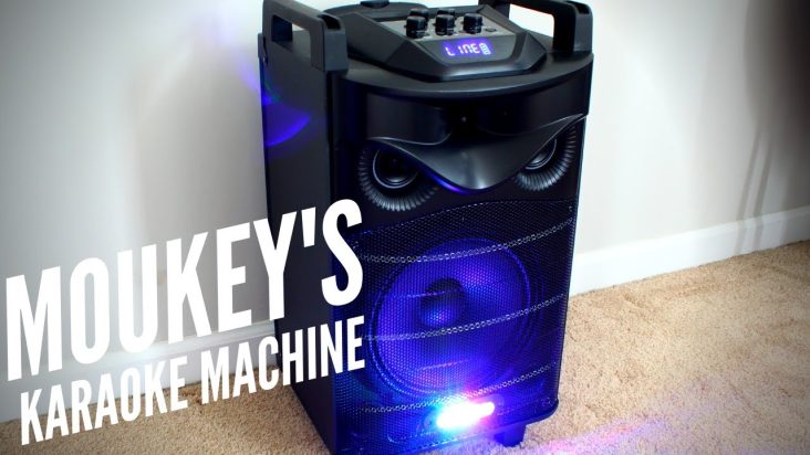 Best Portable Karaoke Machine!!! (Moukey's Karaoke Machine and Speaker)