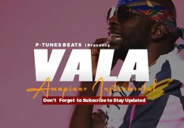 [FREE BEAT] Amapiano x South African Instrumental | Dj Maphorisa x Kabza De Small Type Beat - VALA