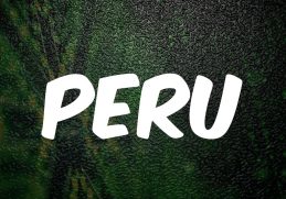 Fireboy Dml - Peru (Lyrics) Mix| Burna Boy,Mavins,Rema