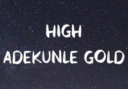 Adekunle Gold - High  🍆 (Lyrics)