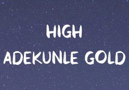 Adekunle Gold - High  🌟 (Lyrics)