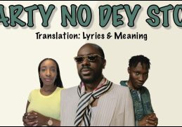 Adekunle Gold ft Zinoleesky - Party No Dey Stop (Afrobeats Translation: Lyrics and Meaning)