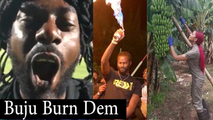 Buju Bun Out The Politicians With His Sons | D Angel Turn Farmer | Safaree Announcement