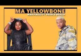 Makhadzi Ft Prince Benza - Ma Yellowbone(Beat Cover)