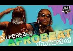 TOP AFROBEAT VIDEO MIX 2022 | AFROBEATS 2022 | DJ PEREZ  [Burna boy,Omah Lay, Ruger]