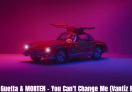 David Guetta & MORTEN - You Can't Change Me (Vantiz Remix)