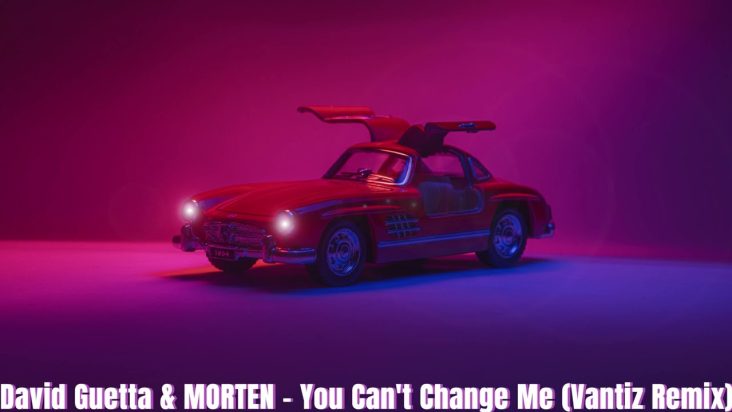 David Guetta & MORTEN - You Can't Change Me (Vantiz Remix)