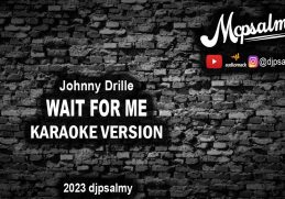 Johnny Drille - Wait For Me | Karaoke Lyrics | McPsalmy