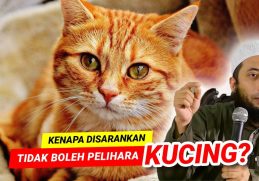 KENAPA DISARANKAN TIDAK BOLEH PELIHARA KUCING ?? - Ustadz Dr Khalid Basalamah