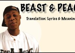 Mohbad - Beast & Peace (Afrobeats Translation: Lyrics and Meaning)