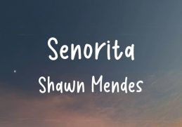 Shawn Mendes - Señorita (Lyrics) | Avicii, Rema,... (MIX LYRICS)