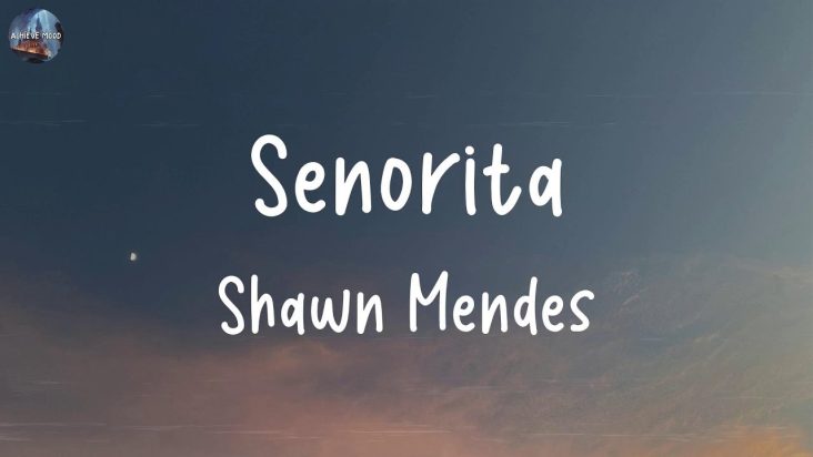 Shawn Mendes - Señorita (Lyrics) | Avicii, Rema,... (MIX LYRICS)