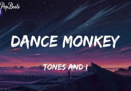 Tones and I -Dance Monkey (Lyrics) | Shawn Mendes, Rema (Mix)