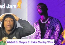 Wizkid Ft. Skepta & Naira Marley- Wow (Official Audio Reaction)|| Did they kill it?👀|| #wizkid