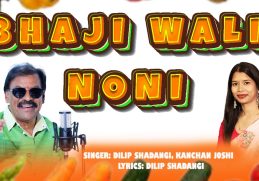 Ae Bhaji Wali Noni Song | Hotel Dhaba Wala Raja | Full CG Song | Dilip Shadangi | Kanchan Joshi