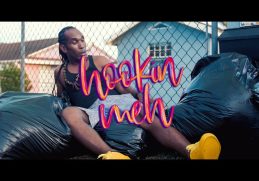 Farmer Nappy - Hookin Meh (Official Music Video) "2019 Soca" [HD]