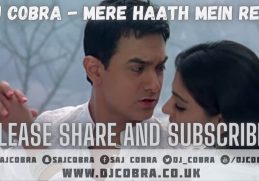 MERE HAATH MEIN | FLY ‘EM HIGH | NINES | SONU NIGAM | SAJ COBRA | TIGGS DA AUTHOR | HINDI REMIX 2021